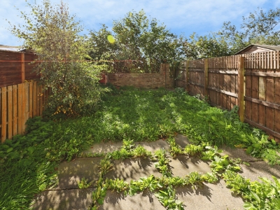 Picture 8